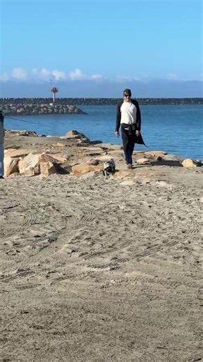 Dave Langer on Instagram: "Harbor"