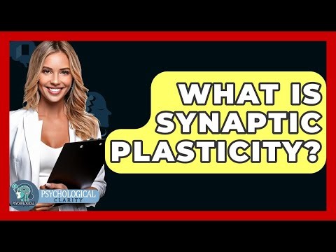 What Is Synaptic Plasticity? - Psychological Clarity