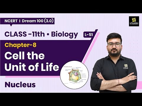 Class 11 Biology Chapter 8 | Cell the Unit of Life - Nucleus | L-51 | Shubham Sir
