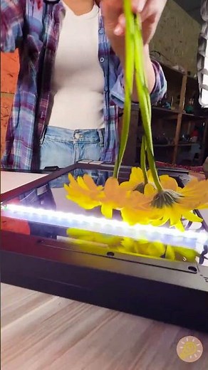 Kunst aus einem Scanner? Sehen Sie, wie dieses florale Meisterwerk zum Leben erwacht...✨🖨