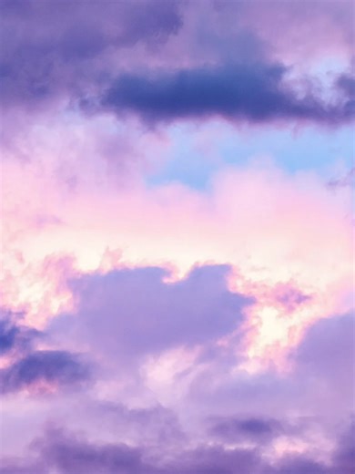 Trauma-informed education on domestic and family violence.#DFV #Accountability #Education