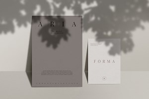 Aria - Mockup Scene Creator, a Product Mockup by The Iconic