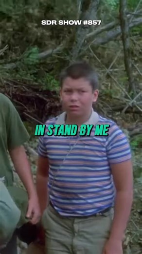 Wil Wheaton talking on The SDR Show & Good Sugar podcasts. #teamfeldman #WilWheaton #standbyme #movieindustry #podcast | Team Feldman