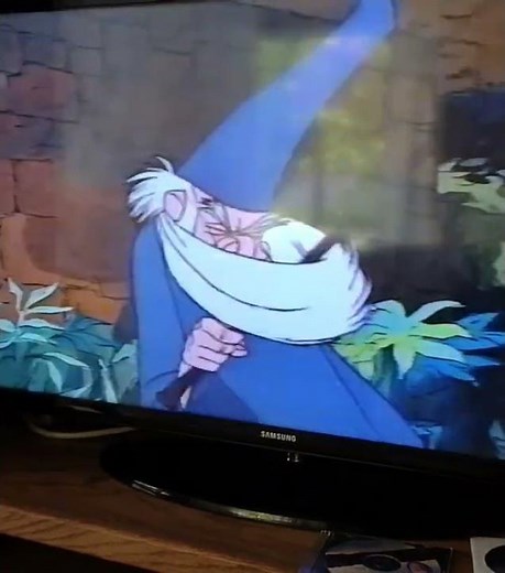 The Sword in the Stone: Merlin's Beard