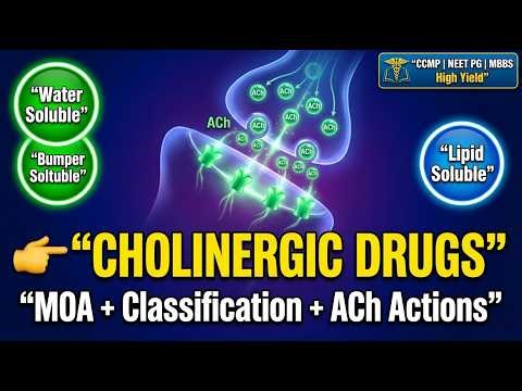 Cholinergic Drugs Made Easy | Definition, Mechanism, Classification & Actions of Acetylcholine