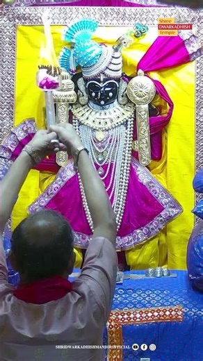 राजाधिराज द्वारकाधीश जी के शयन आरती दर्शन🙏#sayanaarti#ShridwarikadhishmandirOfficial