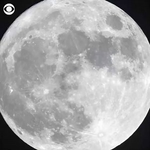 6.5K views · 56 reactions | Researchers say there could be as much...