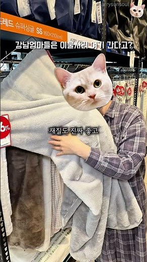 백화점 1위 이불을 80% 할인하는 대형 아울렛 #코지네스트양재점 #코지네스트 #아울렛 #강남쇼핑 #이불 #침구 #이불추천 #침구추천