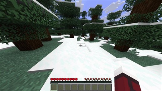 Minecraft: Wii U Edition