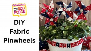 4.3K views · 57 reactions | Create a Pinwheel Plant Pics for 4th of...