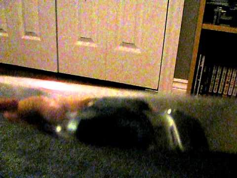 How to seperate 2 stuck LEGO pieces