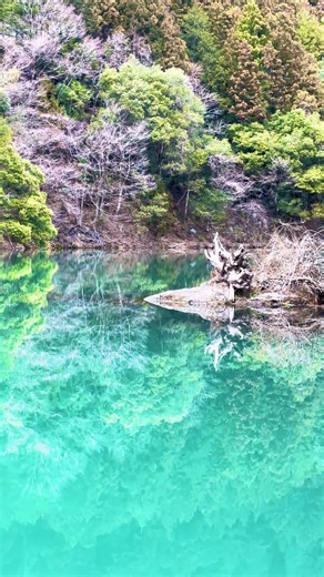 川 #川 #nature #travel #川辺 #river