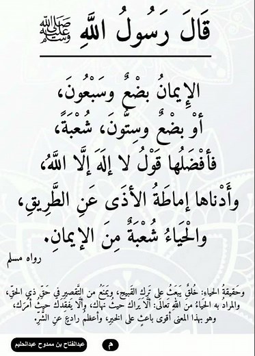 الإيمان بضع وسبعون، أو بضع وستون، شعبة، فأفضلها قول لا إله إلا الله، ❆ صحيح مسلم 35