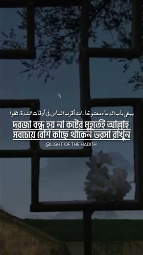 ❤️‍🩹❤️‍🩹 #lightofthehadith #trustinallah #love