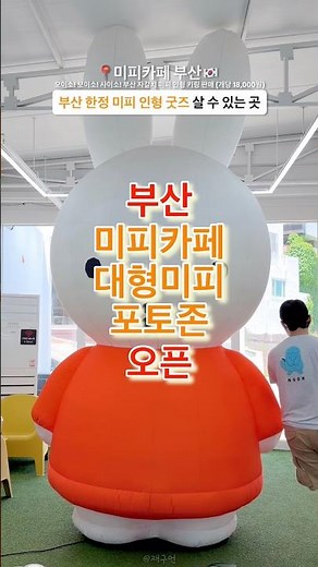 Miffy Cafe with an Ocean View in Busan & Limited Edition Merch 🔻See Description for Details🔻
