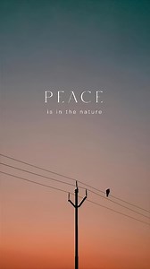 Wait for the result 🤯 Save for later 💡 Steps :- ➡️ Open Pro Mode ➡️ Choose evening time ➡️ Set these settings ➡️ ISO : 2500 ➡️ Shutter : 1/25-1/40 sec ➡️ WB : 8000 ➡️ Focus : Auto #reelsinstagram #viral #phototricks117 #photographytips #photographytricks #instagramreels | Photofreak Guy