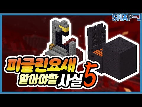 5 Facts You Didn't Know About Piglin Fortress [Snapjay]