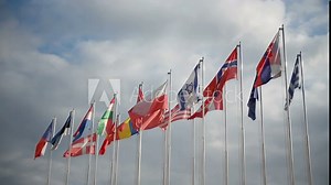 Many of national flags at windy day with cloudy sky at background.
