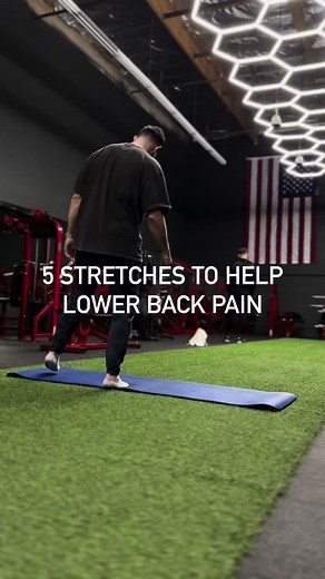 5 Stretches to Help Lower Back Pain . . Here are 5 relieving stretches for tight and painful backs. Save for your next stretch session and run through these movements. Add stretching to your DAILY routine to truly see change and results. . . 1. Scorpion Flips 2. Cat/Cow 3. Supine Twist 4. Seated Twist 5. Childs Pose/Upward Dog