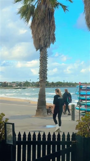 A Bunch of Dogs at St Kilda 🐕 | Melbourne 🇦🇺