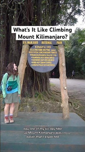 What's It Like Climbing Mount Kilimanjaro? Our Intrepid Travel trek begins! ​⁠🎥 ​⁠‪@WhereTaraWent‬