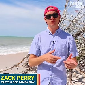 😍 CALADESI ISLAND 🌴 Did you know you can walk from Clearwater Beach to Caladesi Island State Park? More >> https://wfts.tv/2TDIG5E | Zack Perry