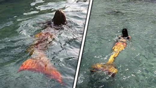 128K views · 2.5K reactions | 10 Times Mermaids Were Spotted In Real Life & Caught On Camera | Most Amazing Top 10 | Facebook