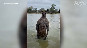 Australian Man Says He Sparred with a 'Jacked' Kangaroo to Save His Dog — Watch!