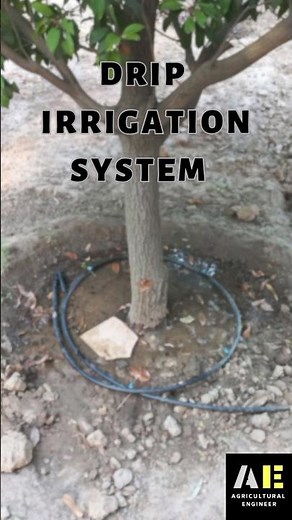 Drip Irrigation System for Plants/Orchard. #irrigationsystem #drip #rain #agriculture #farmhouse