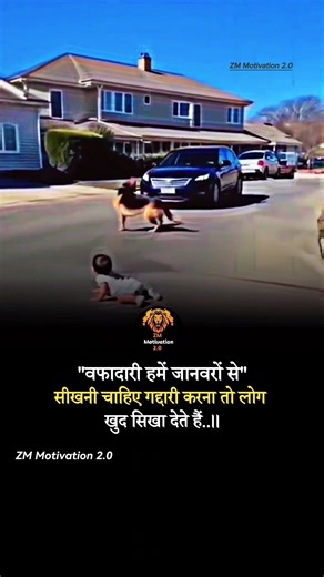 #motivation #video #world #zmmotivation2 #shortfeed #motivatinal #trending