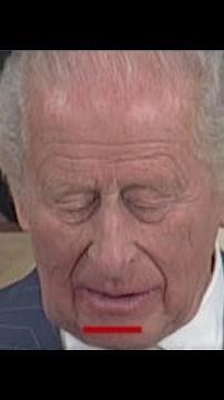 King Charles' speech to Congress draws laughter
