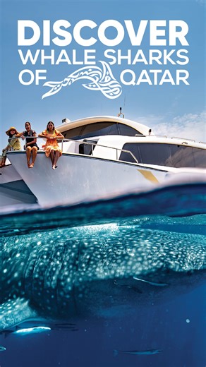 1.5K views | The Whale Sharks are back! ✨ Discover the Whale Sharks of Qatar on a once-in-a-lifetime adventure! Witness one of the largest gatherings on Earth as these gentle giants breach the surface in the Arabian Gulf. Don't miss this opportunity! Tours starts 20 June Book now: www.discoverqatar.qa/wsoq | Discover Qatar | Facebook