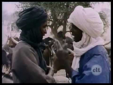 Strange Relations - Millennium - David Maybury-Lewis