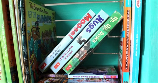 EPSB list of banned books leaked as CBE continues reviewing titles for potential removal