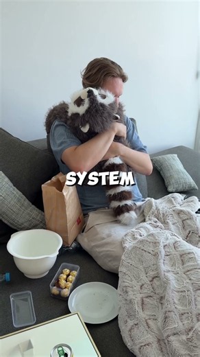 rockie the racoon is here!!