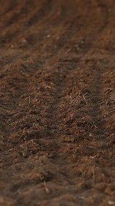 15K views · 176 reactions | From the field to the barrel  A...