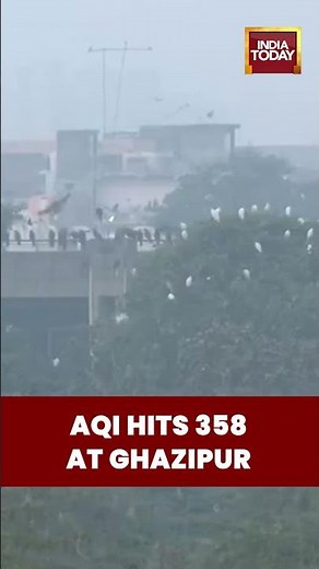 Delhi Shrouded in Smog: AQI Hits 358 at Ghazipur, Categorised 'Very Poor' by CPCB #airpollution