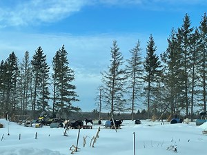 MTU Mushing Club preps for Copper Dog