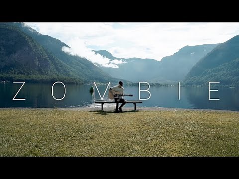 The Cranberries - Zombie (Acoustic Cover by Dave Winkler)