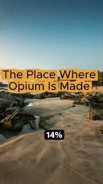 Why Myanmar’s Opium Economy Is Growing During the Civil War