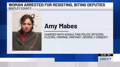 Woman accused of biting 2 deputies, breaking deputy’s nose with his own baton during arrest
