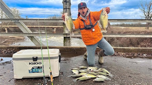 Unstable bridge locations yield massive quantities of slab crappie