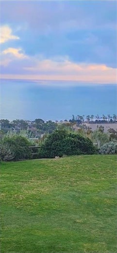 Found the Easter Bunny!! 😍 #shortsfeed #scenicviews #eastersunday