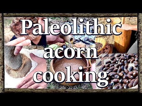 Acorn Prep & Cook w/ Stone Tools: historical Native method