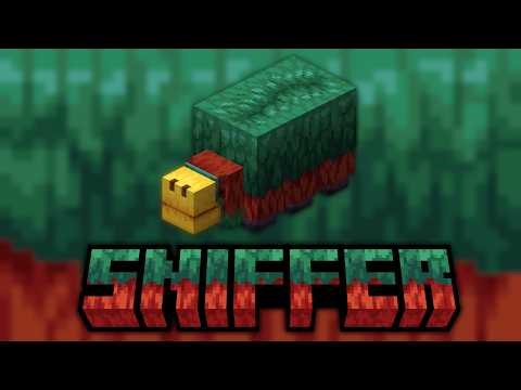 5 Ciekawostek o Snifferze, o których mogłeś nie wiedzieć!