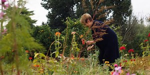 How Alice Waters Got From Fish Sticks to Farm-to-Table