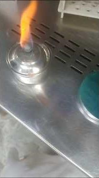 # 🧫 Gram Staining ProcessPurpose:The Gram stain is a differential staining technique used to 🙏❤️