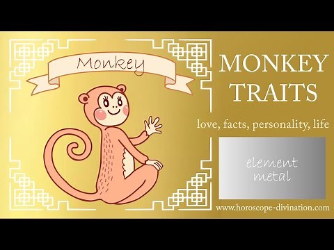Chinese Zodiac Monkey Personality ━ Monkey Traits, Love & Feng Shui 猴