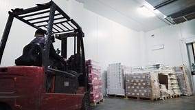 Mitarbeiter Im Gabelstapler Stapeln Kisten Im Lager Stock Footage - Video von mann, fabrik: 167119850