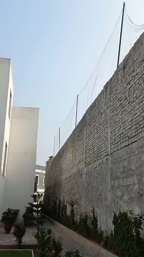 Talent Test